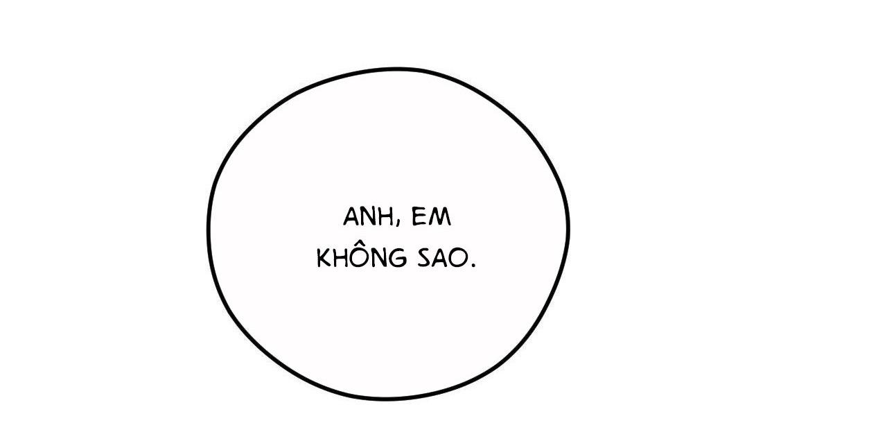 Đọc truyện  Gấu Teddy thân yêu - Chapter 2