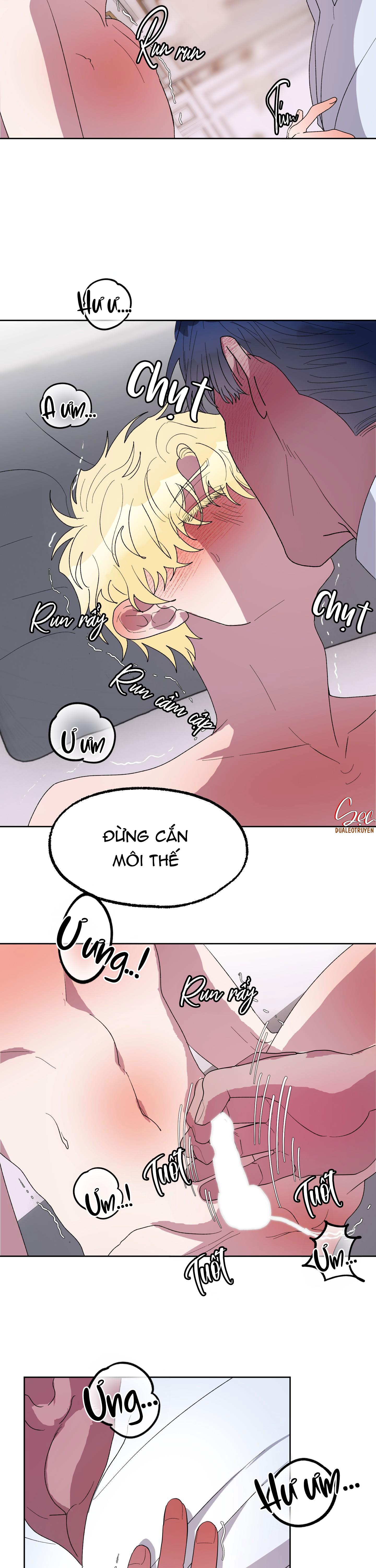 Đọc truyện CÁ MẬP VÀ CÔ DÂU THỎ - Chapter 19