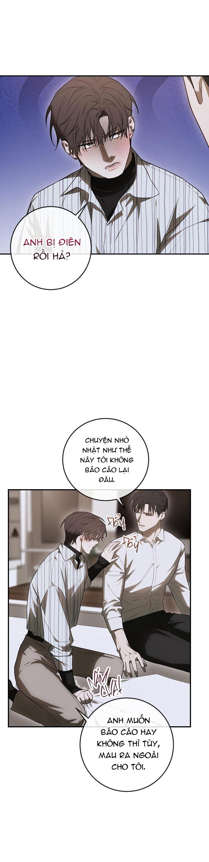 Đọc truyện BẢO VẬT - Chapter 11