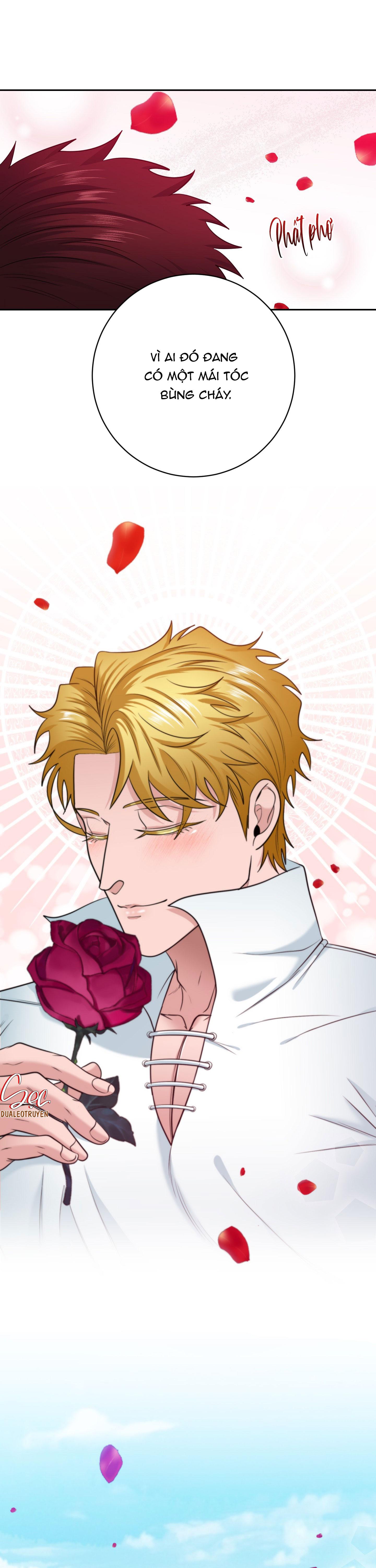 Đọc truyện CÔNG TƯỚC MUỐN CÓ CON NỐI DÕI - Chapter 39