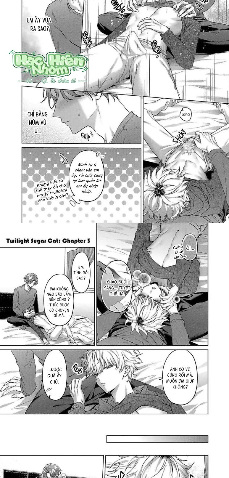 Đọc truyện Mèo con ngọt ngào lúc chạng vạng - Chapter 4