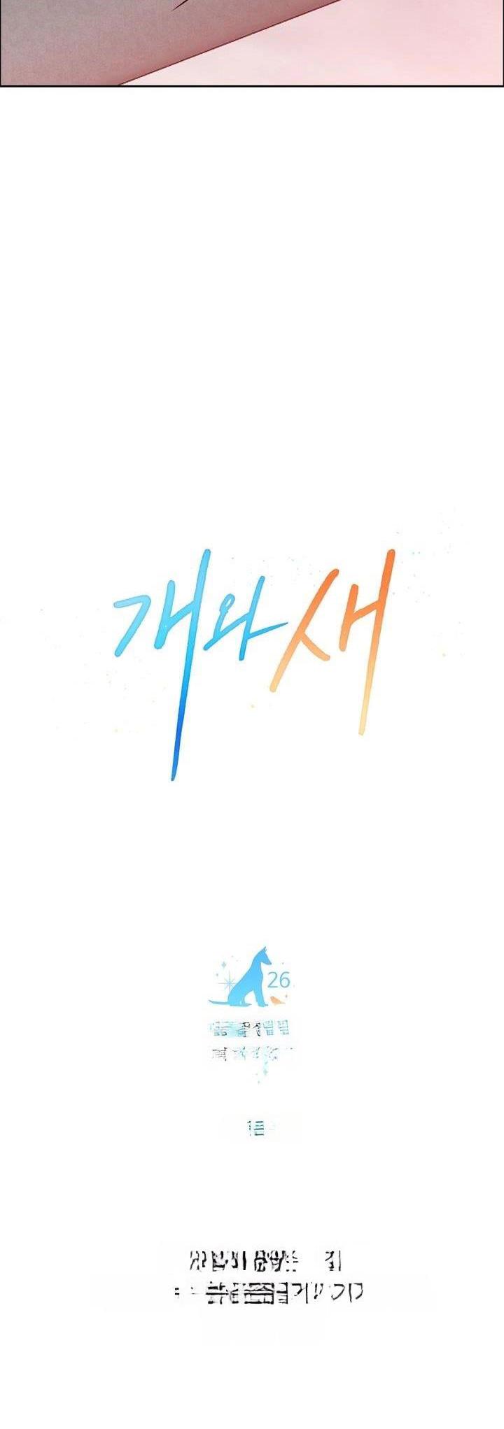 Đọc truyện CHÓ VÀ CHIM - Chapter 26