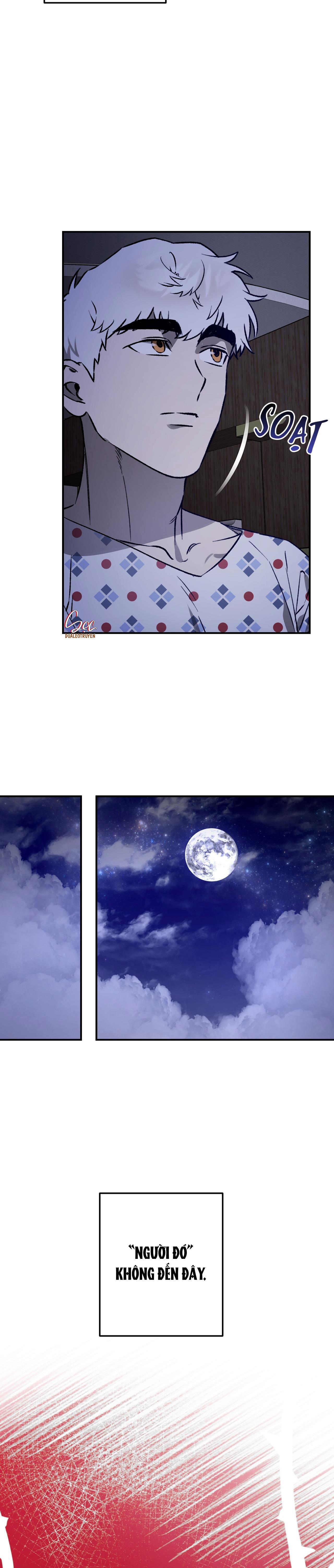 Đọc truyện SÓI TRONG LỒNG - Chapter 28