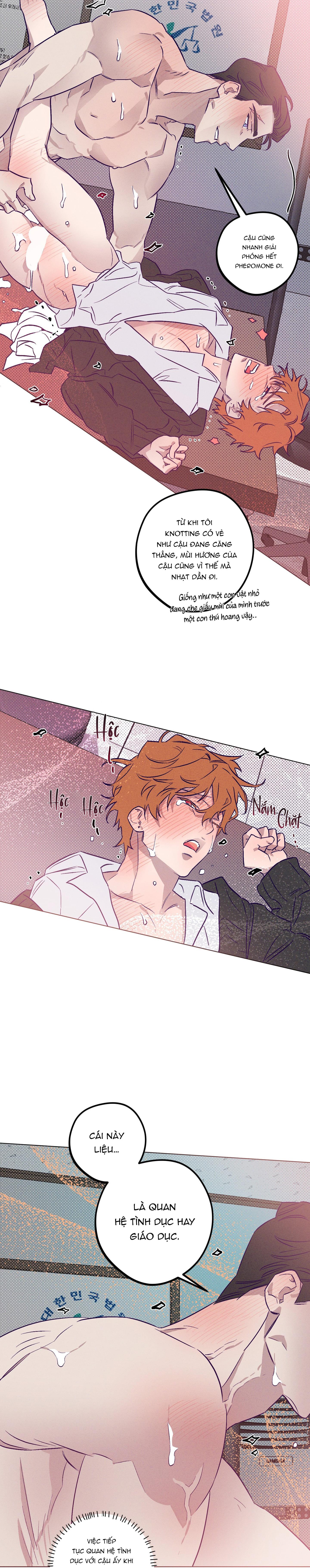 Đọc truyện Bữa sáng trong tù - Chapter 9