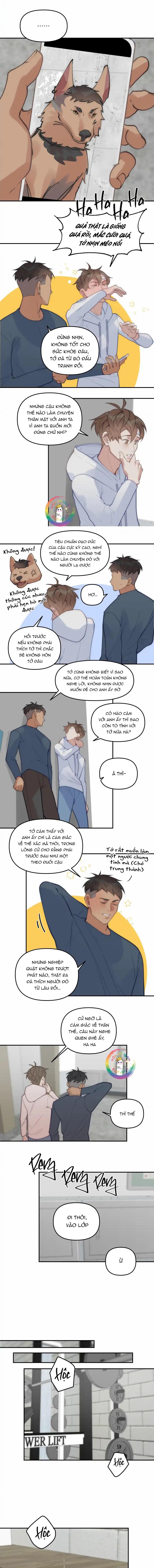 Đọc truyện (END) Đàn Anh Sói Ca Cùng Phòng Của Tôi - Chapter 68