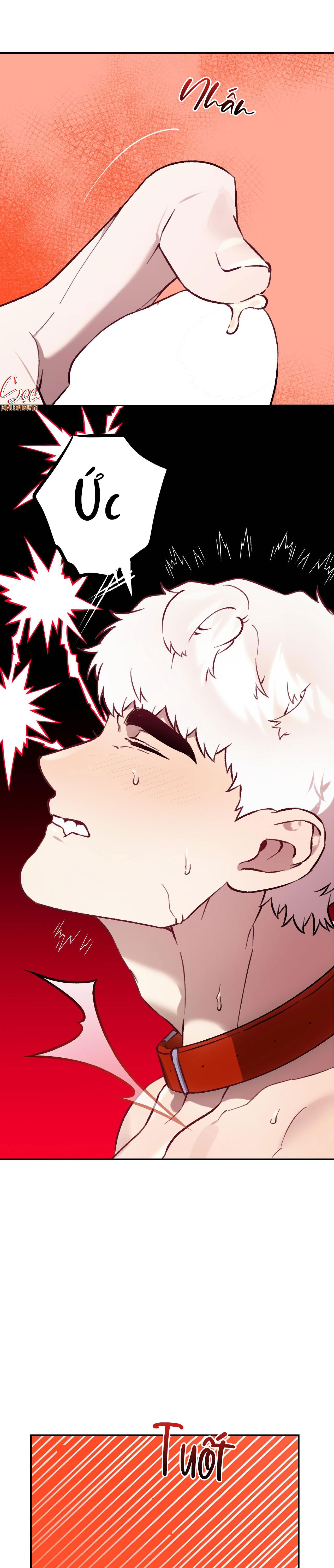 Đọc truyện SÓI TRONG LỒNG - Chapter 23