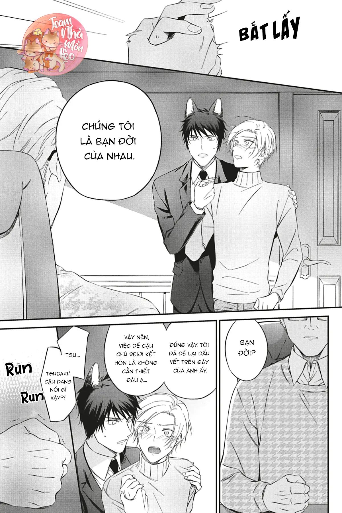 Đọc truyện TÌNH YÊU NƠI ANH - Chapter 3