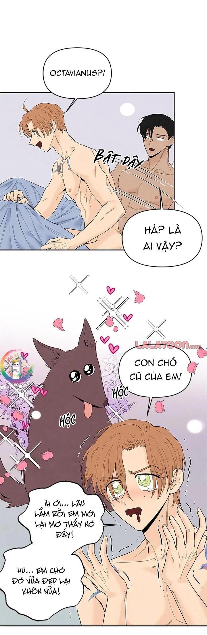 Đọc truyện Bona Sort (END) - Chapter 71