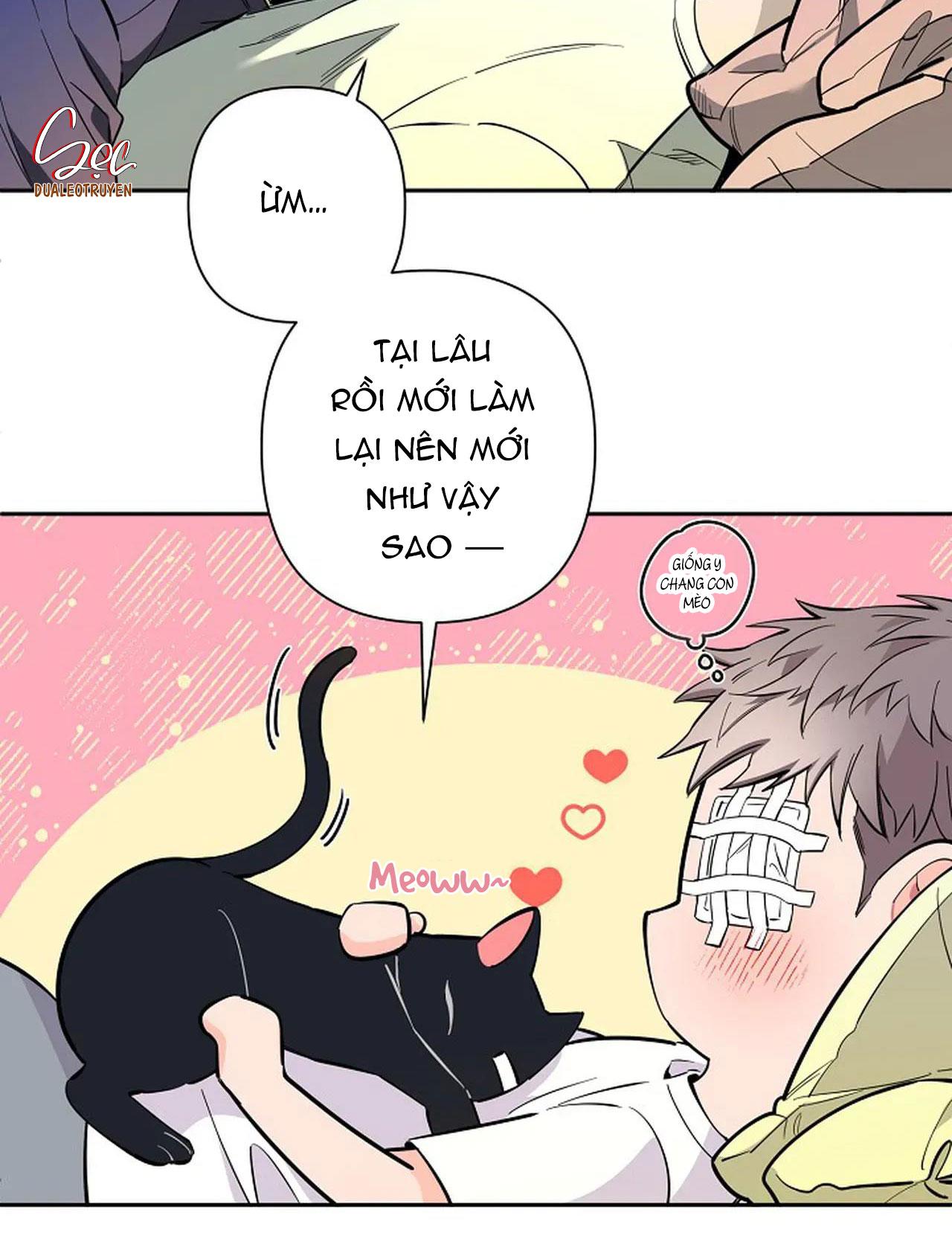 Đọc truyện ĐÊM DỊU DÀNG - Chapter 73