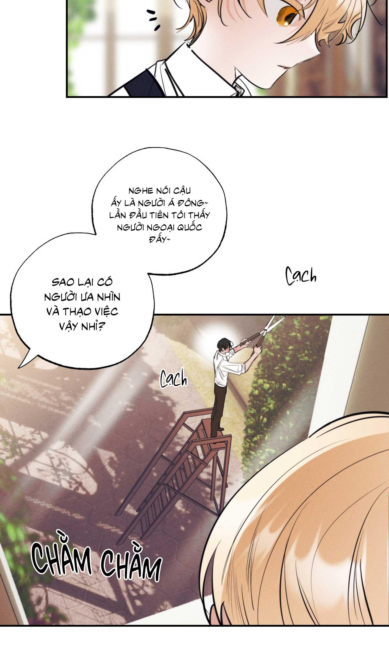 Đọc truyện KHU VƯỜN CỦA ESTHER - Chapter 1