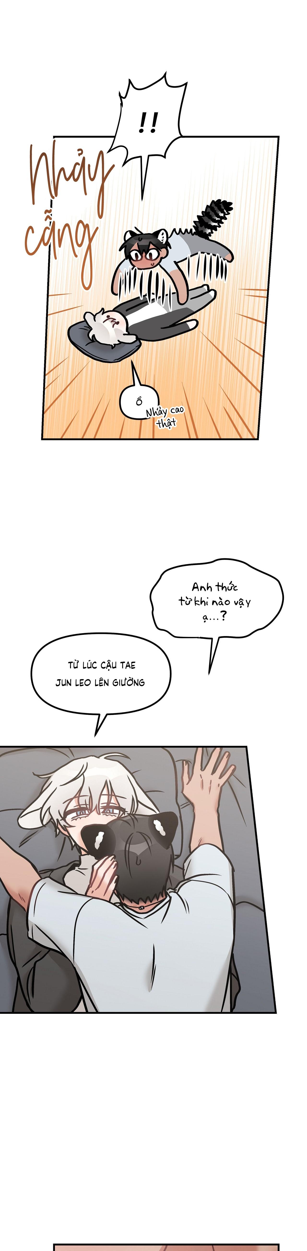 Đọc truyện THƯA NGÀI HỔ, TÔI ĐÃ ĂN RẤT NGON MIỆNG - Chapter 29