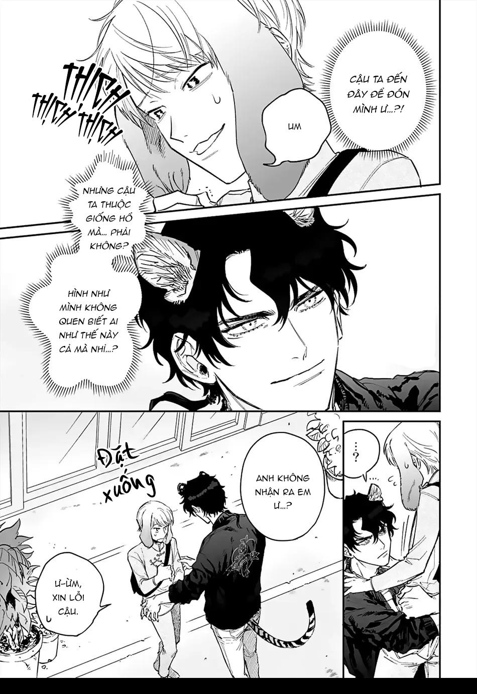 Đọc truyện Thỏ cưng của Hổ siêu ngầu - Chapter 2