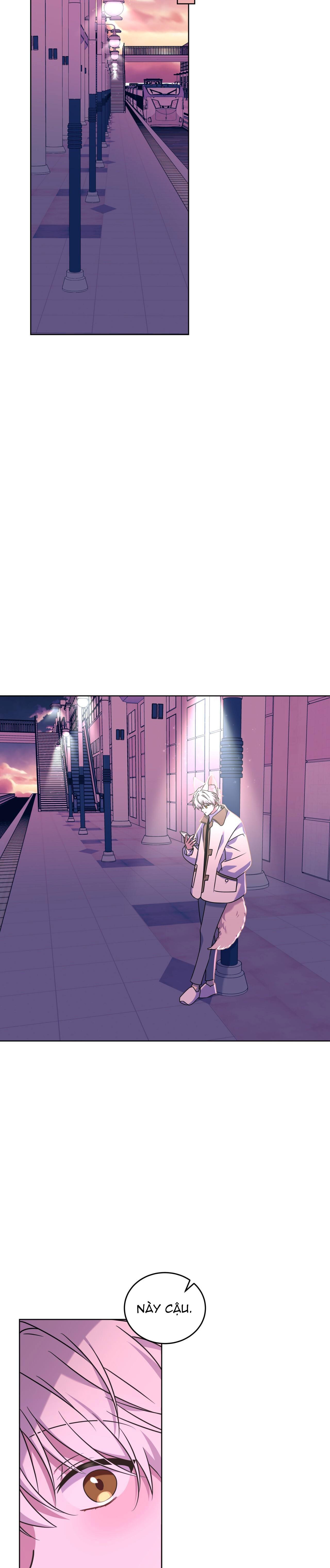 Đọc truyện NƯỚC UỐNG TÌNH YÊU CỦA CÁO PLIN - Chapter 21