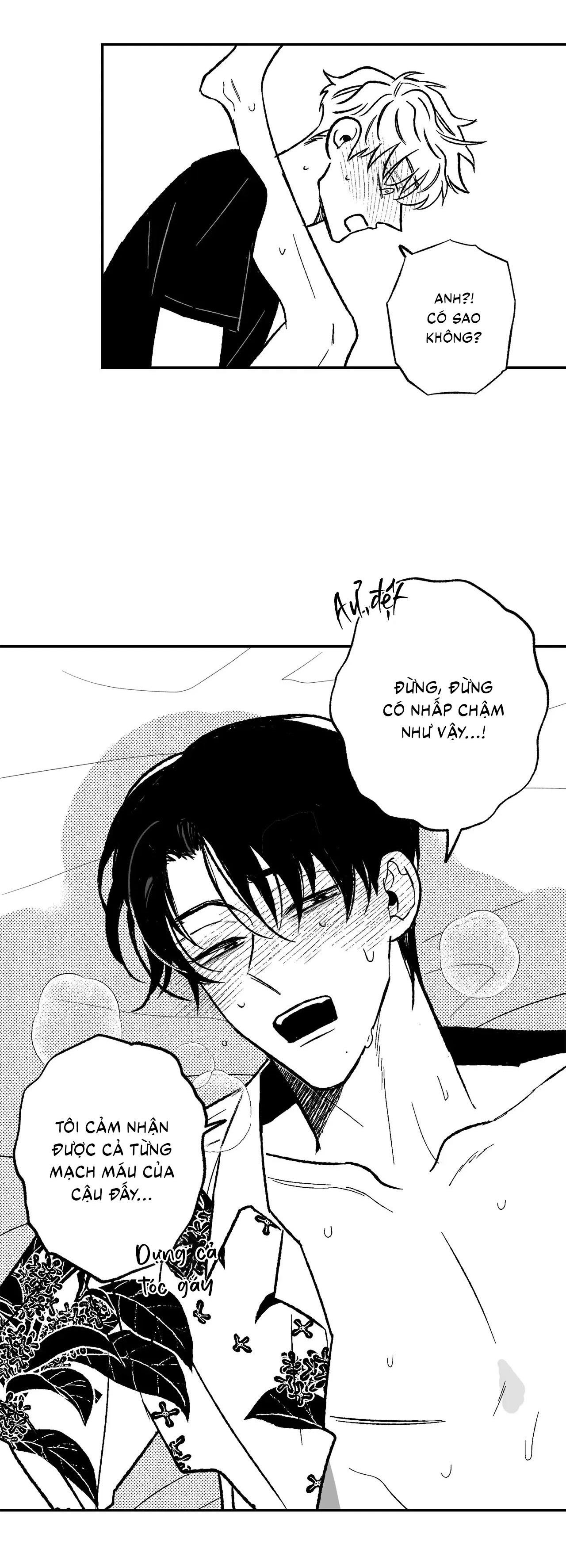 Đọc truyện  Sự kết hợp hoàn hảo - Chapter 32