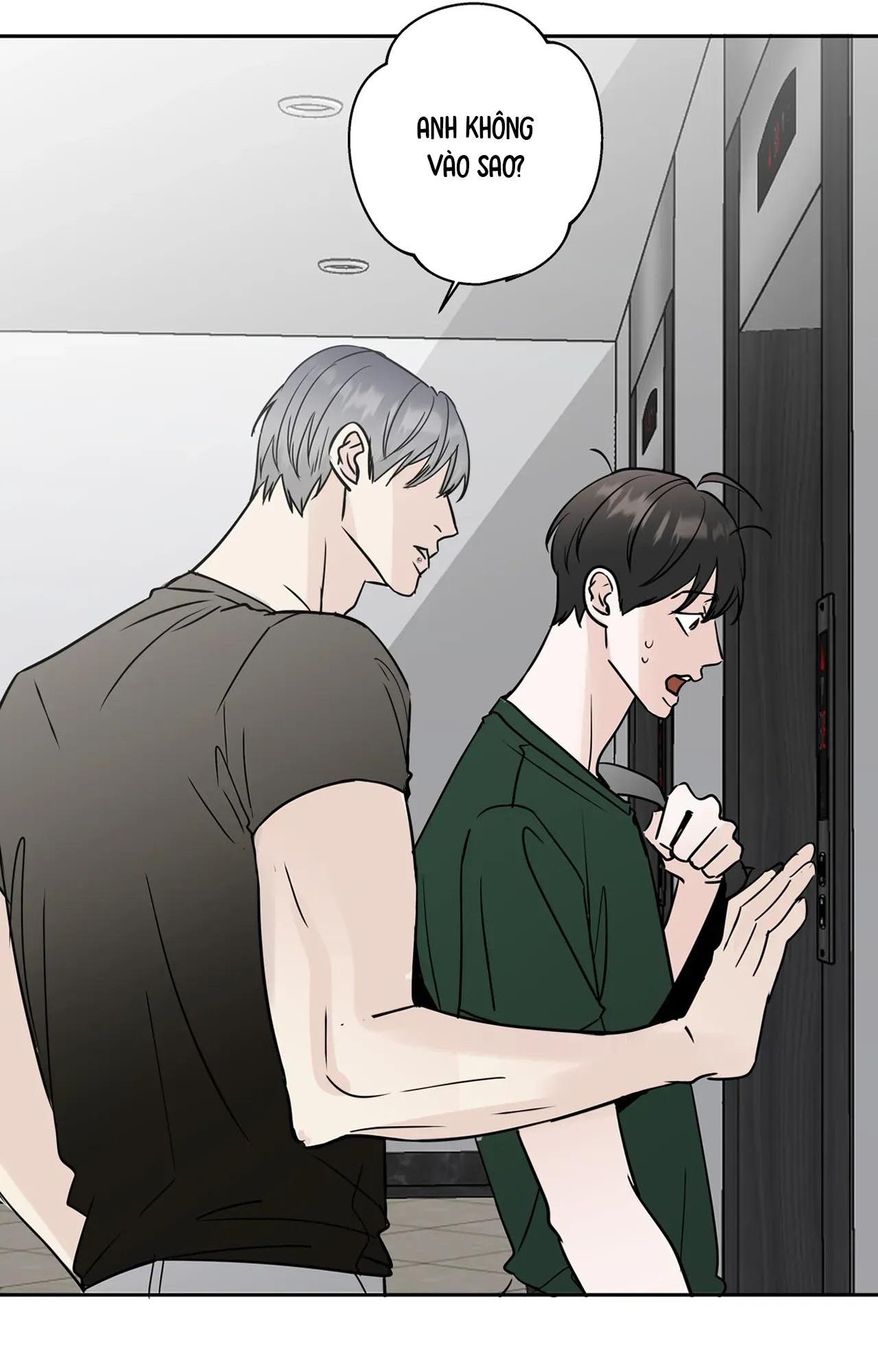 Đọc truyện  Cám Dỗ Nhà Bên - Chapter 4