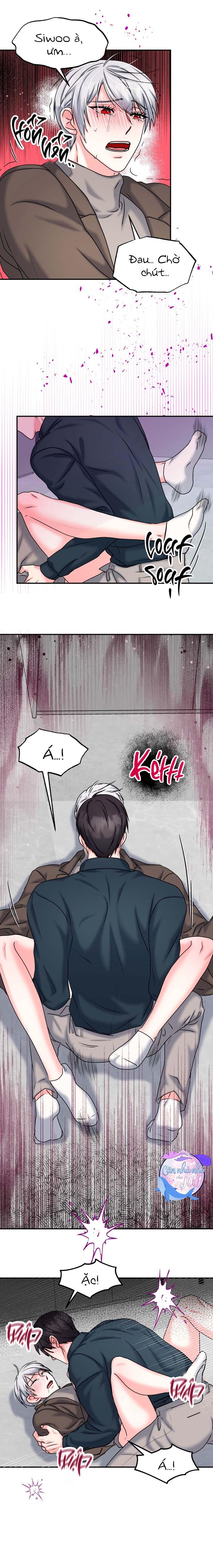 Đọc truyện ĐÂY LÀ CHÚ THỎ MÀ BẠN (KHÔNG) ĐÃ ĐẶT HÀNG - Chapter 20