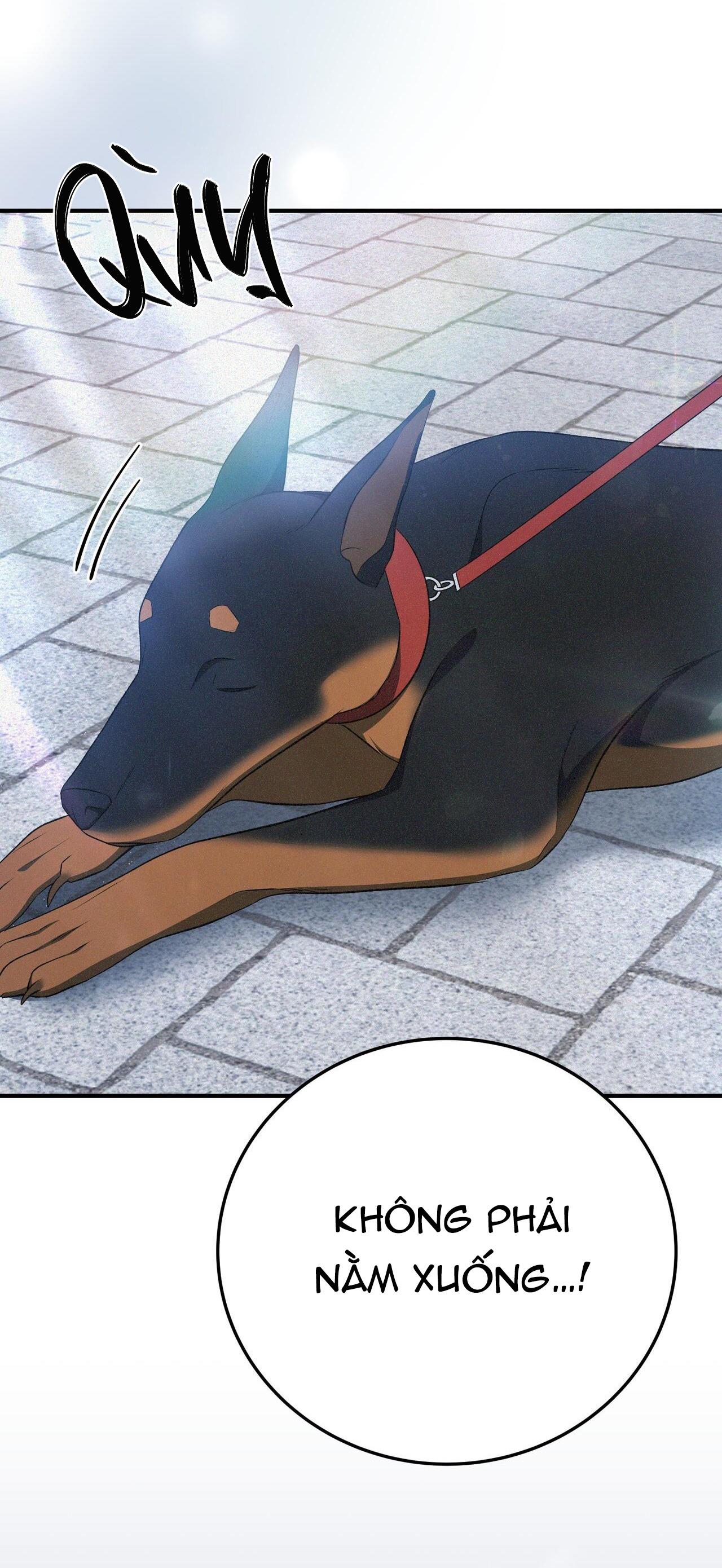 Đọc truyện VÔ HÌNH - Chapter 65