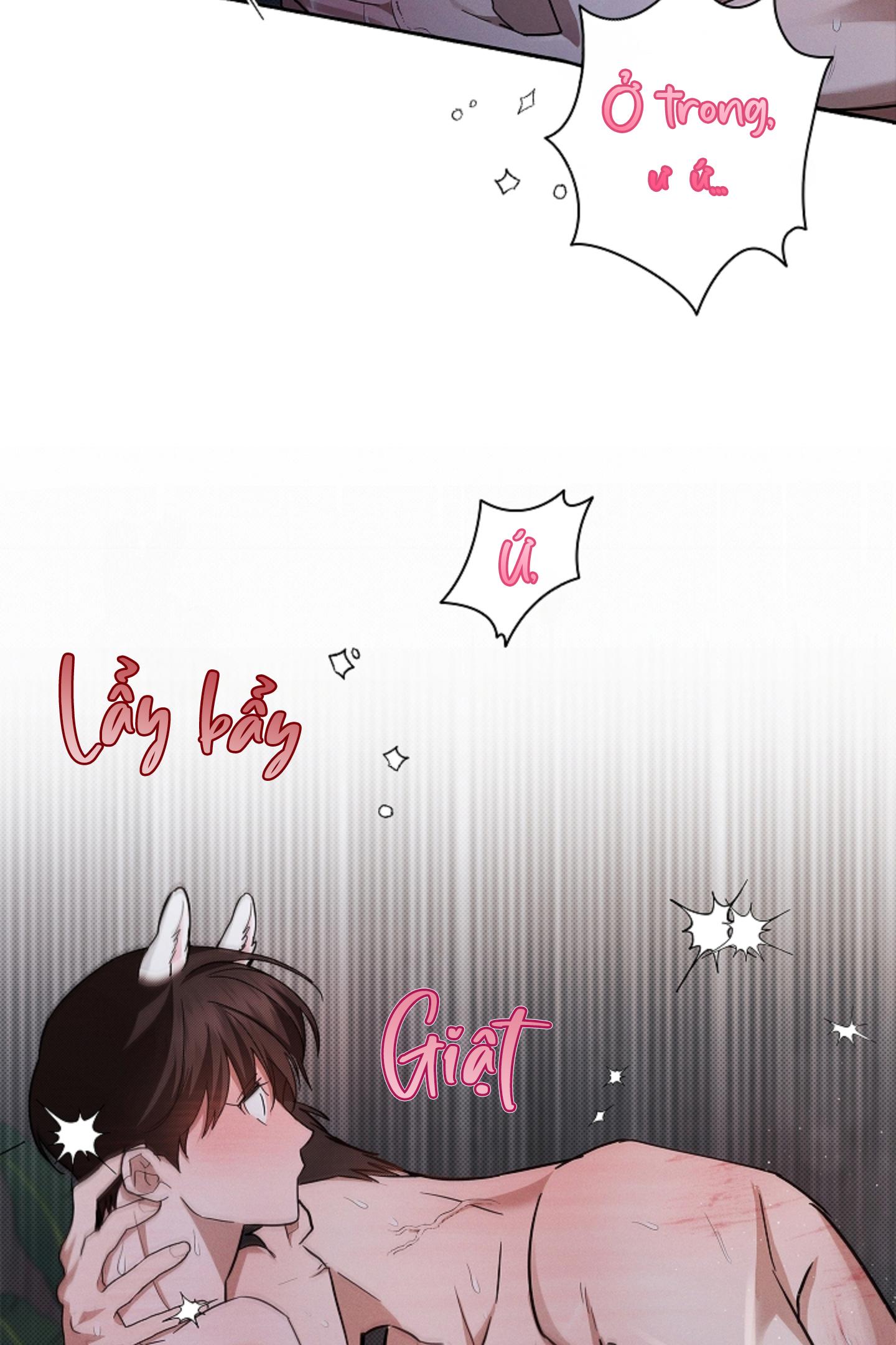 Đọc truyện ĐỪNG ĐỘNG VÀO CÚN CON! - Chapter 26