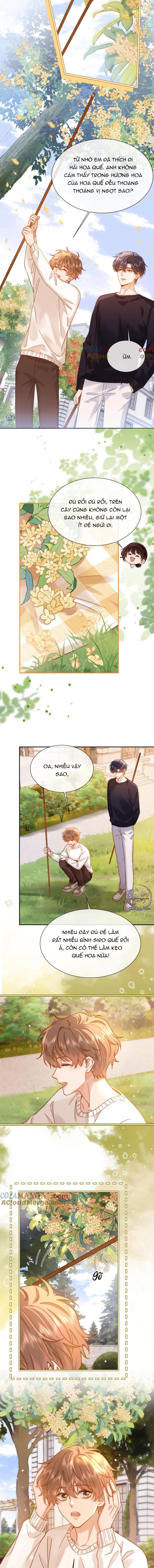 Đọc truyện Chất Dị Ứng Đáng Yêu - Chapter 33