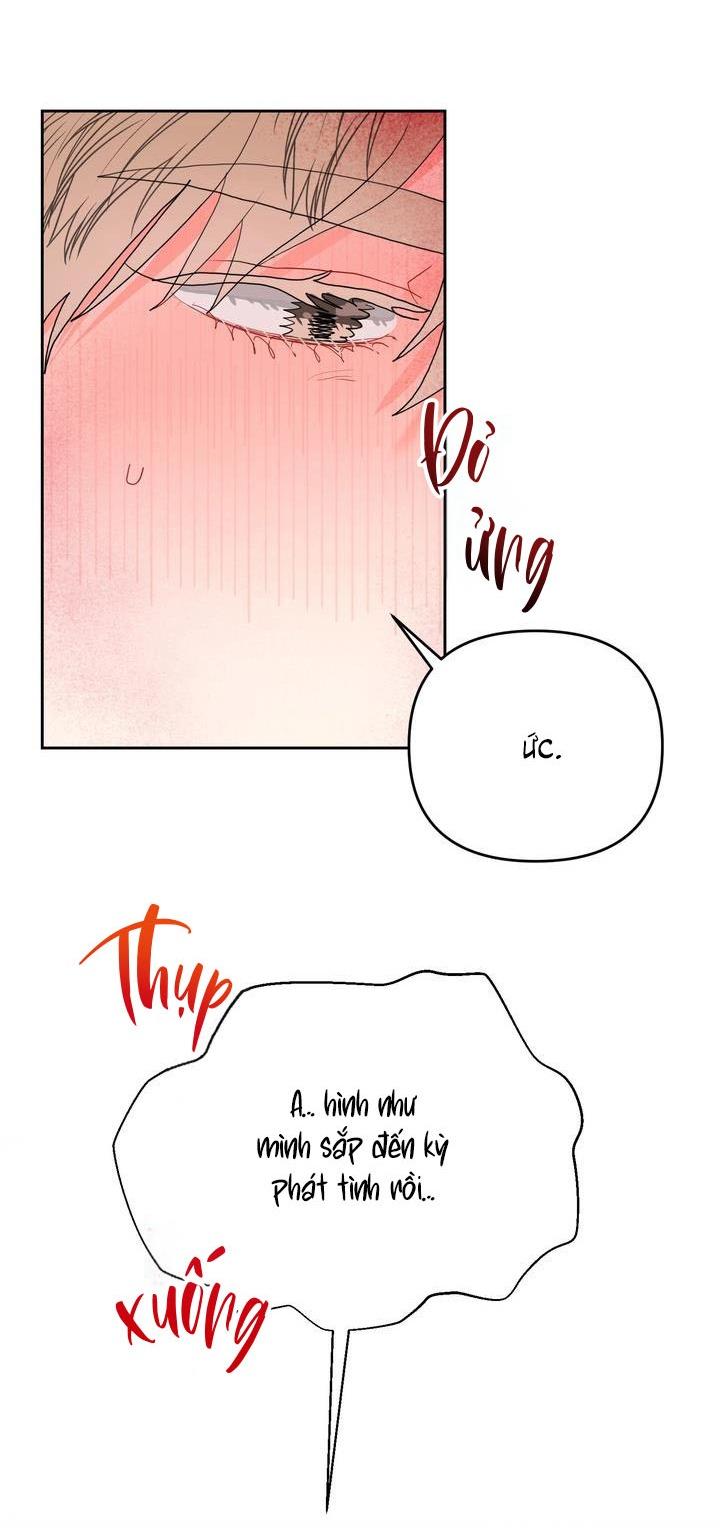 Đọc truyện  Omega Của Anh - Chapter 10