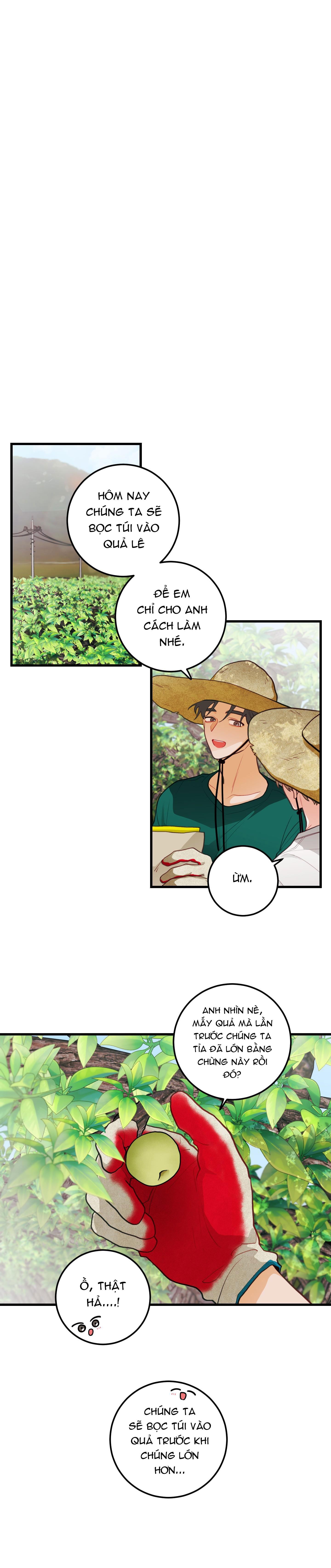 Đọc truyện CHUYỆN TÌNH HOA LÊ NỞ - Chapter 35