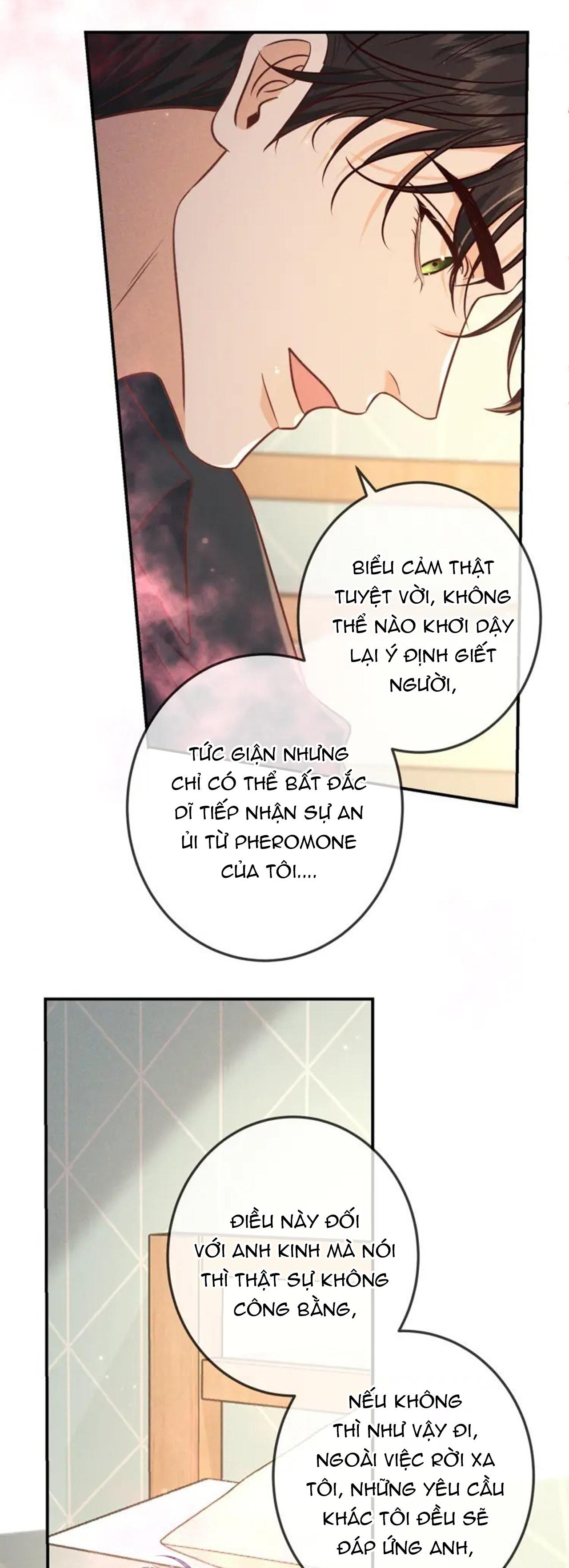 Đọc truyện Cạn Tình - Chapter 40