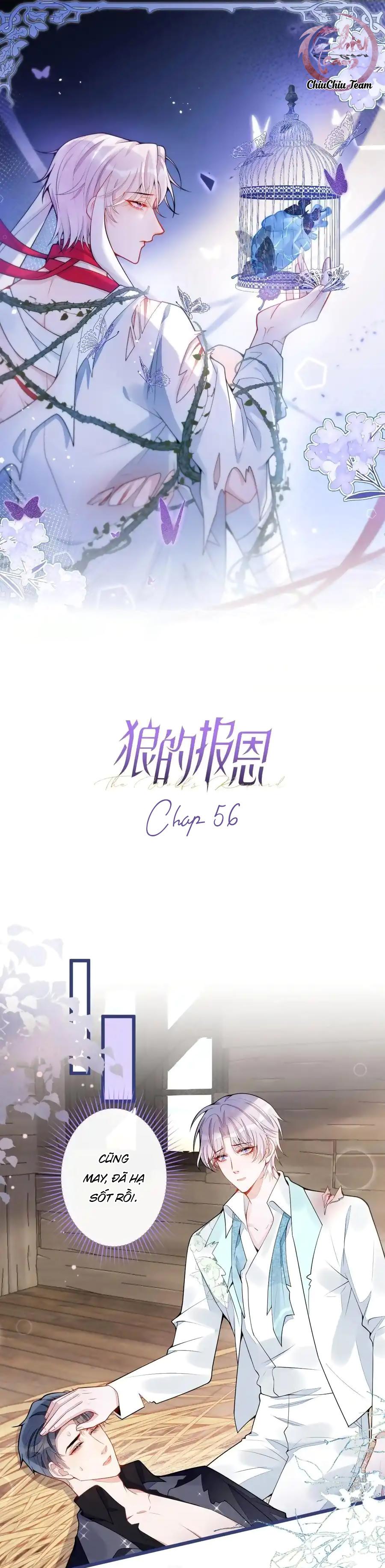 Đọc truyện Sói Báo Ơn (END) - Chapter 56