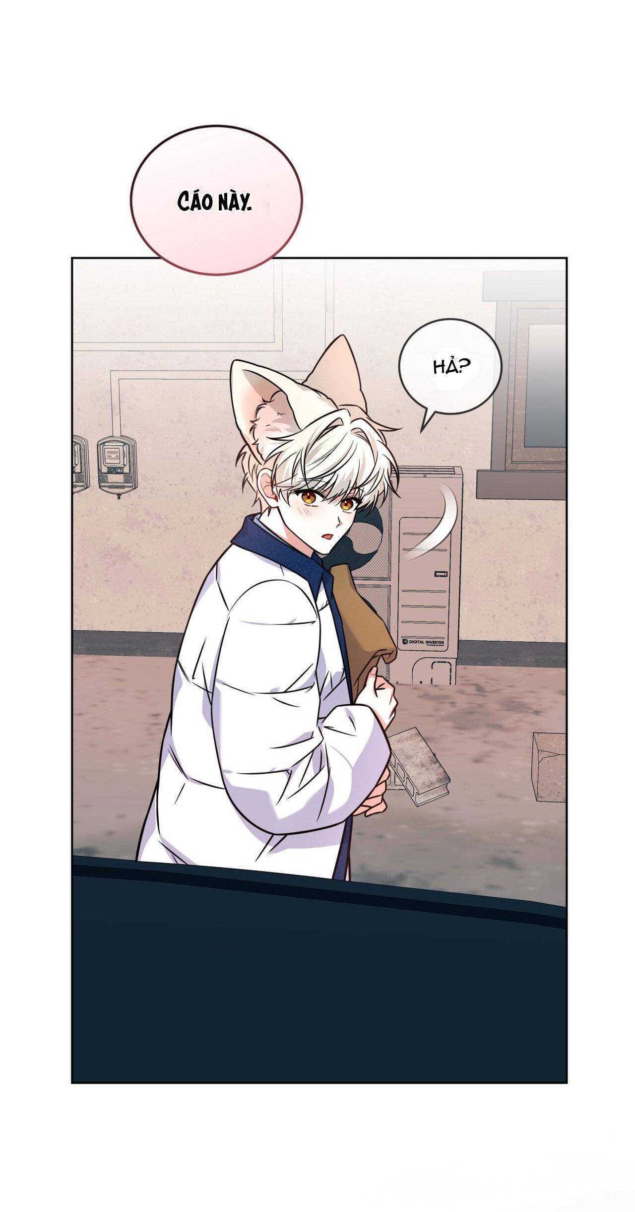 Đọc truyện NƯỚC UỐNG TÌNH YÊU CỦA CÁO PLIN - Chapter 25