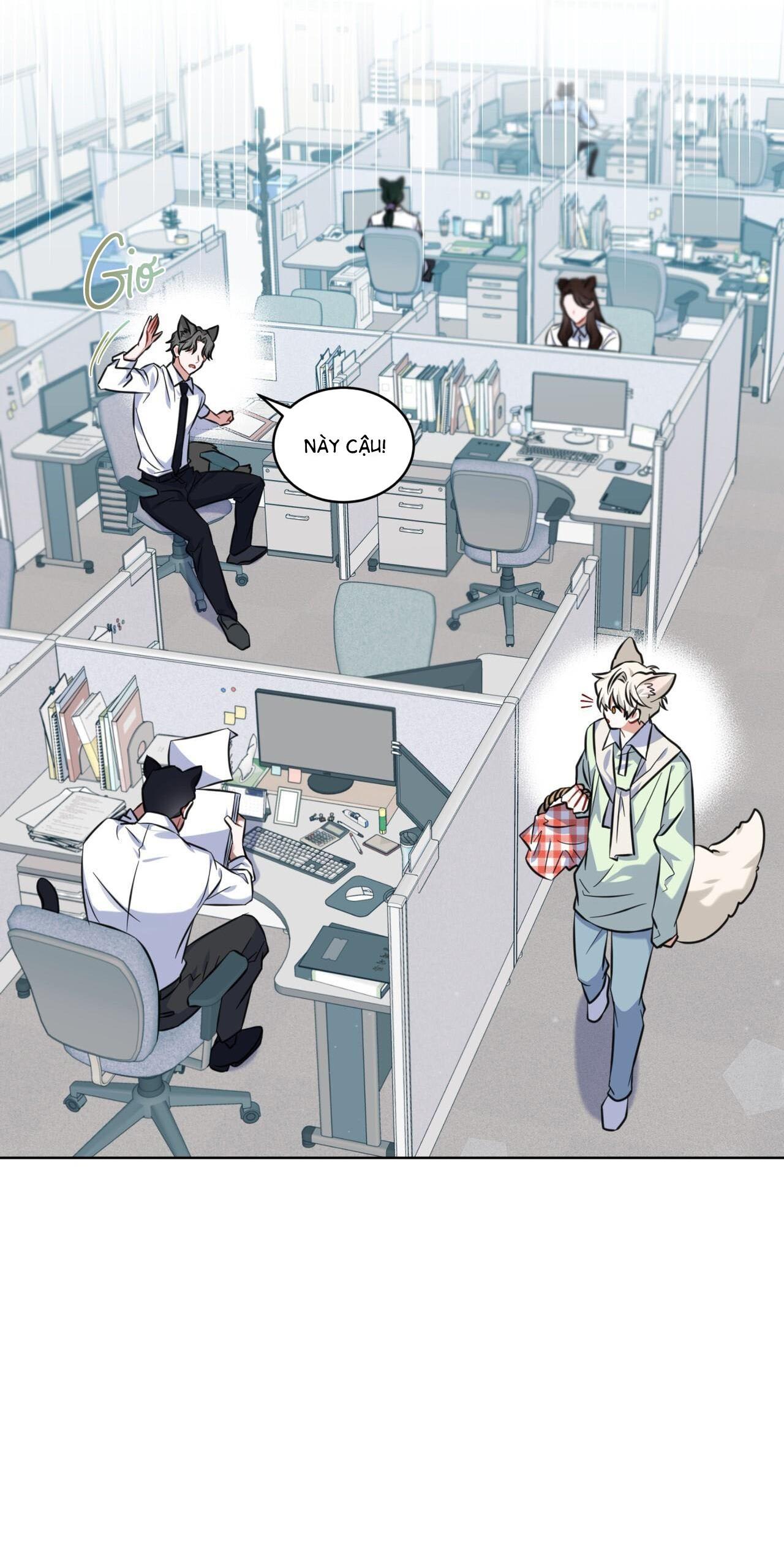 Đọc truyện |DROP| Tiệm đồ uống của cáo Flynn - Chapter 1