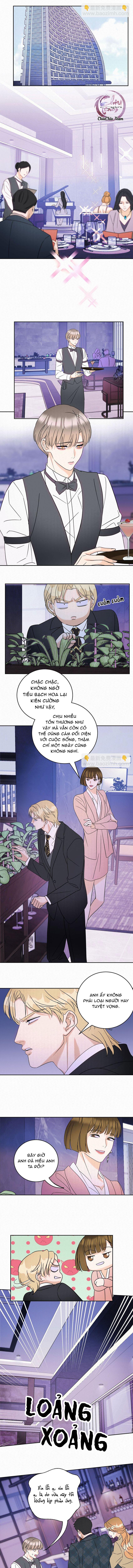 Đọc truyện Anh Trai Rẻ Tiền Của Tôi (END) - Chapter 19