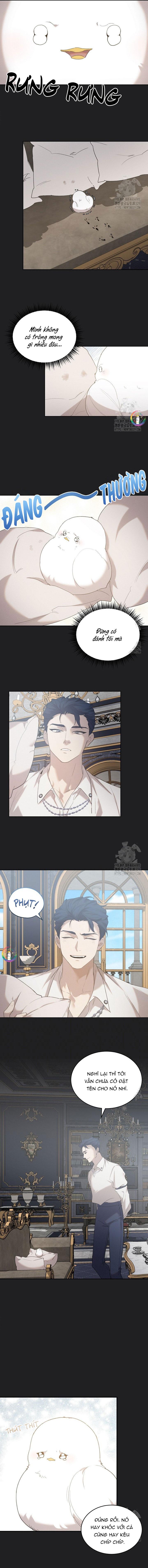 Đọc truyện (END) Này, Đừng Có Nhấn Cái Nút Đó! - Chapter 7