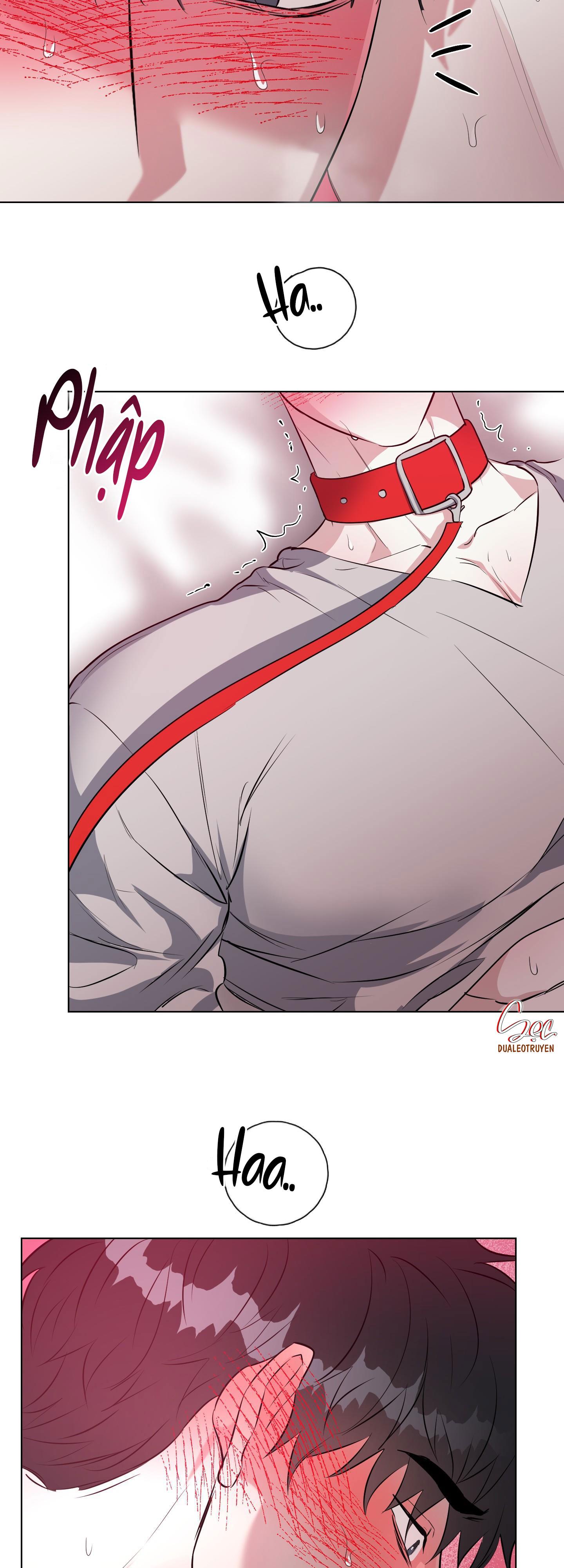 Đọc truyện VỰC RẮN - Chapter 14