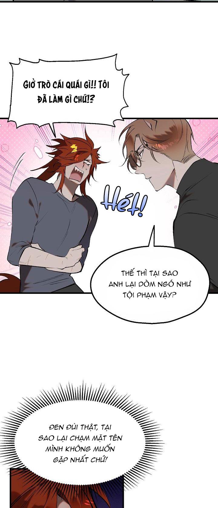 Đọc truyện BA CHÚ HEO CON - Chapter 10