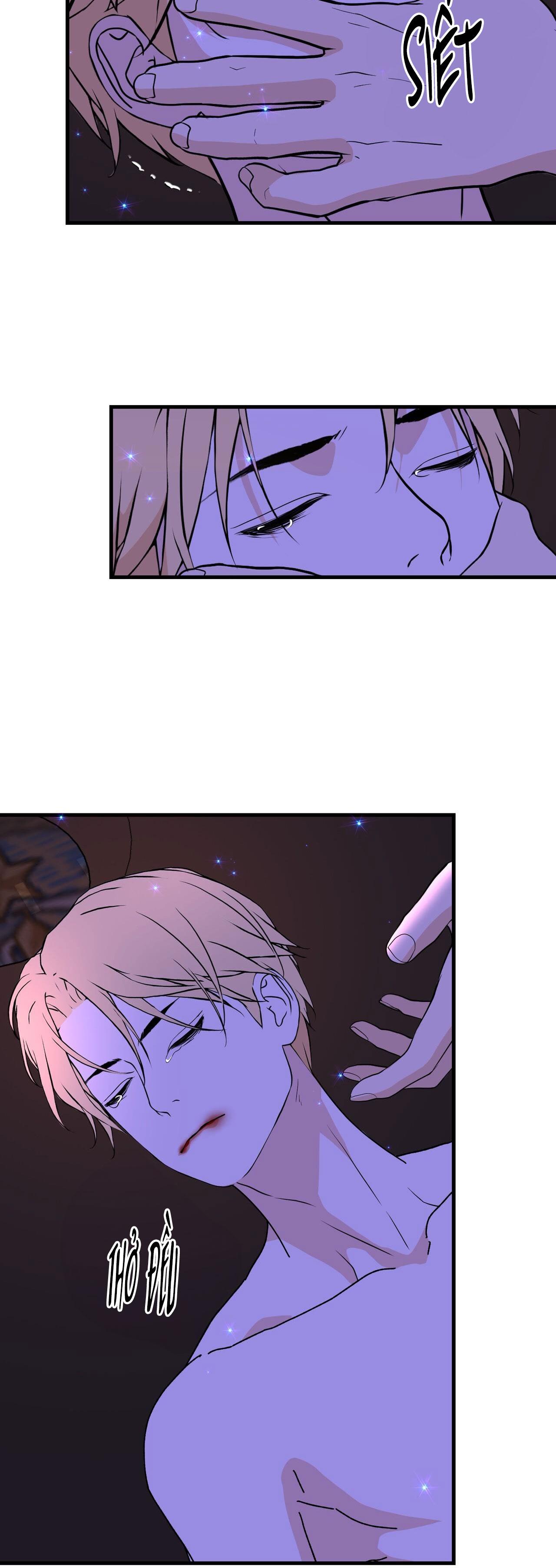 Đọc truyện (ABO) ĐÁM CƯỚI HOÀNG GIA - Chapter 19