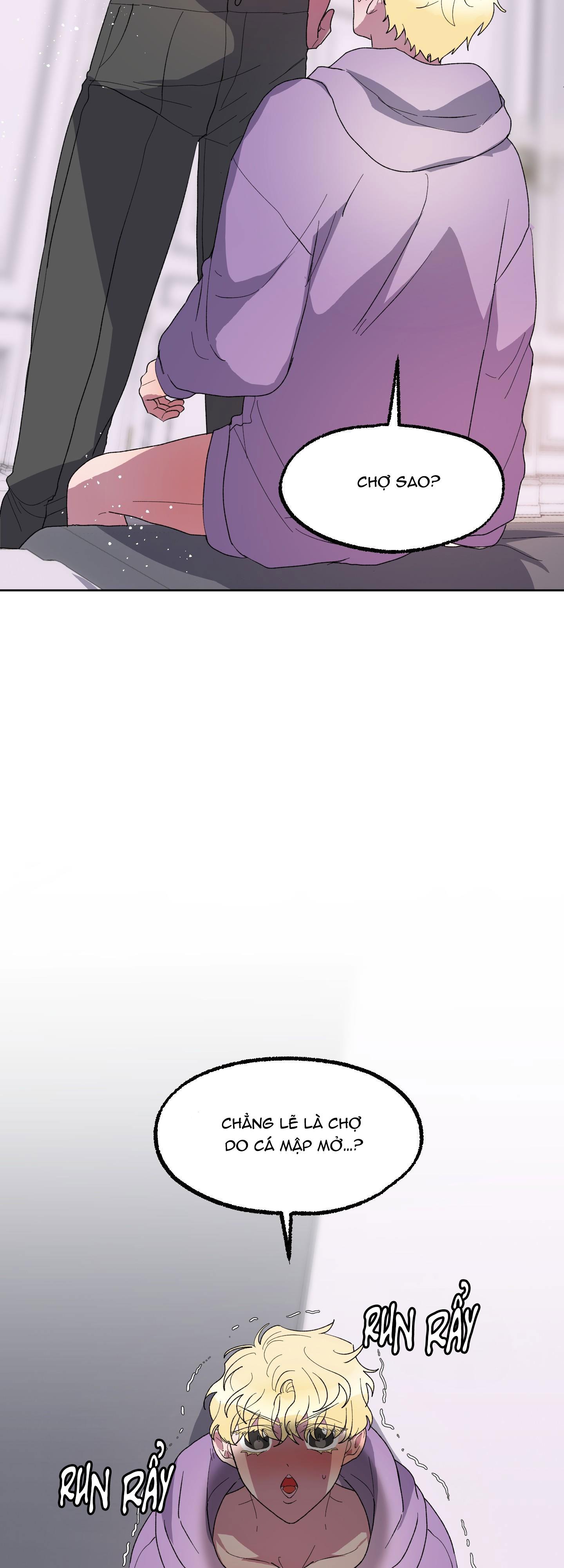 Đọc truyện CÁ MẬP VÀ CÔ DÂU THỎ - Chapter 19