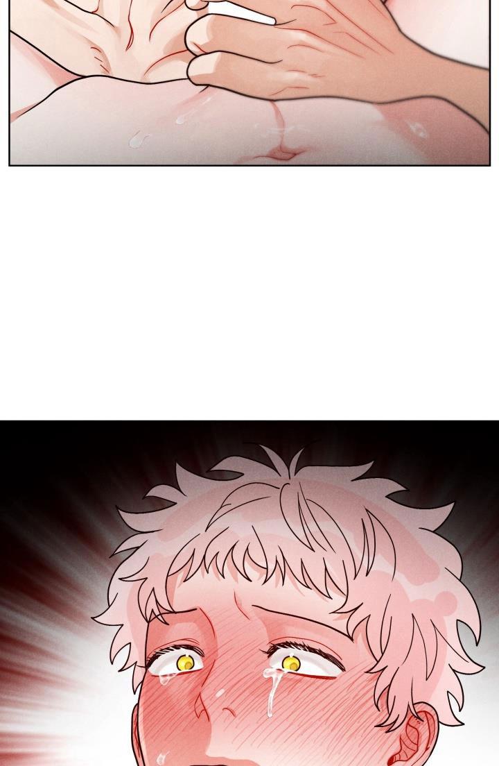 Đọc truyện CUỘC GỌI BÍ MẬT - Chapter 8