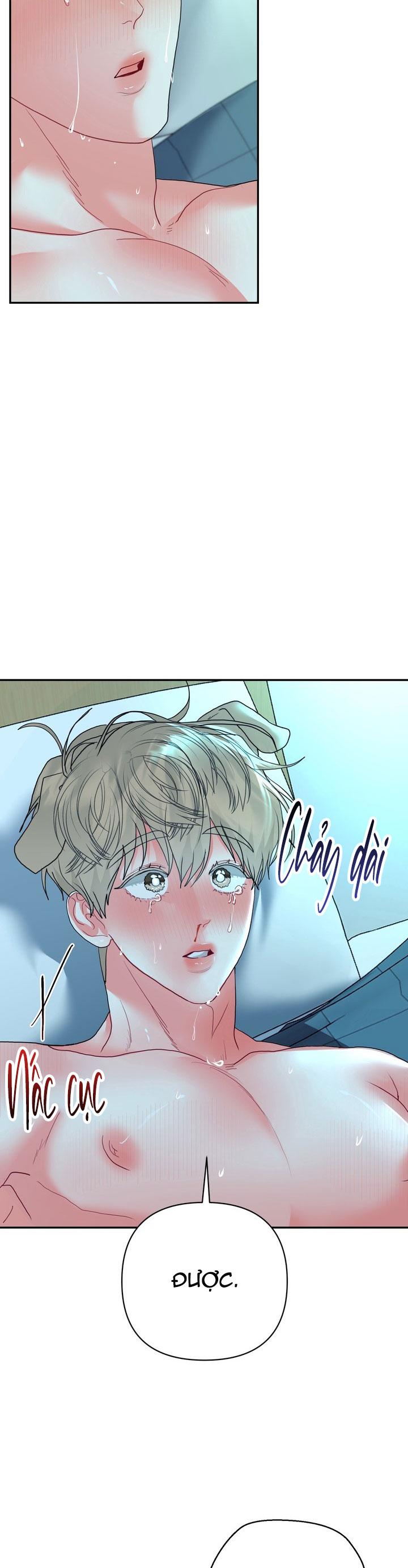 Đọc truyện (ABO) OMEGA CỦA ANH TRAI - Chapter 12