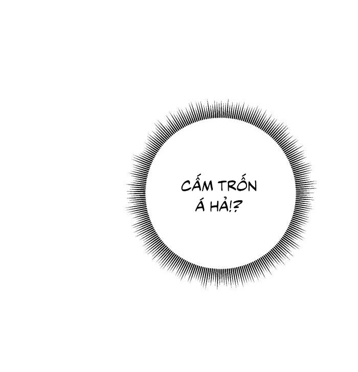 Đọc truyện Tỉnh dậy lần nữa bỗng trở thành minh tinh rồi - Chapter 24