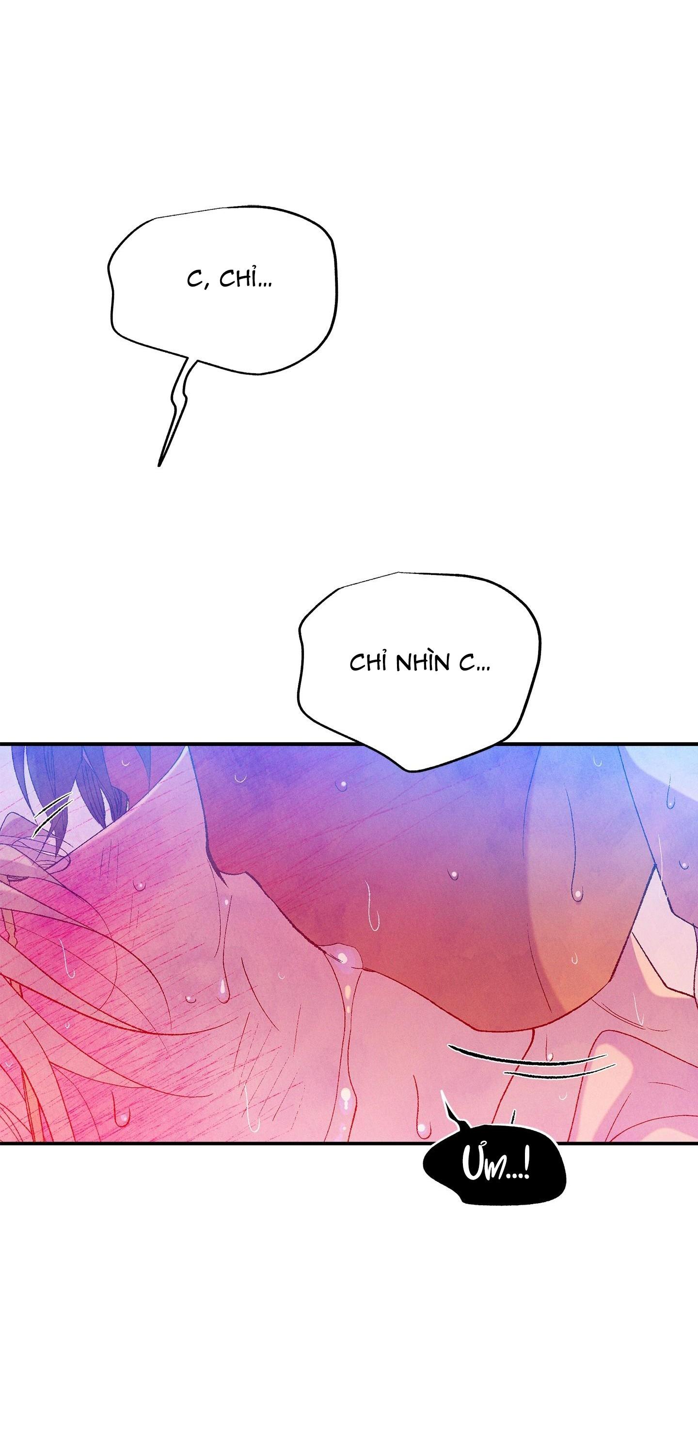 Đọc truyện ÔNG CHÚ BÊN CỬA SỔ - Chapter 67
