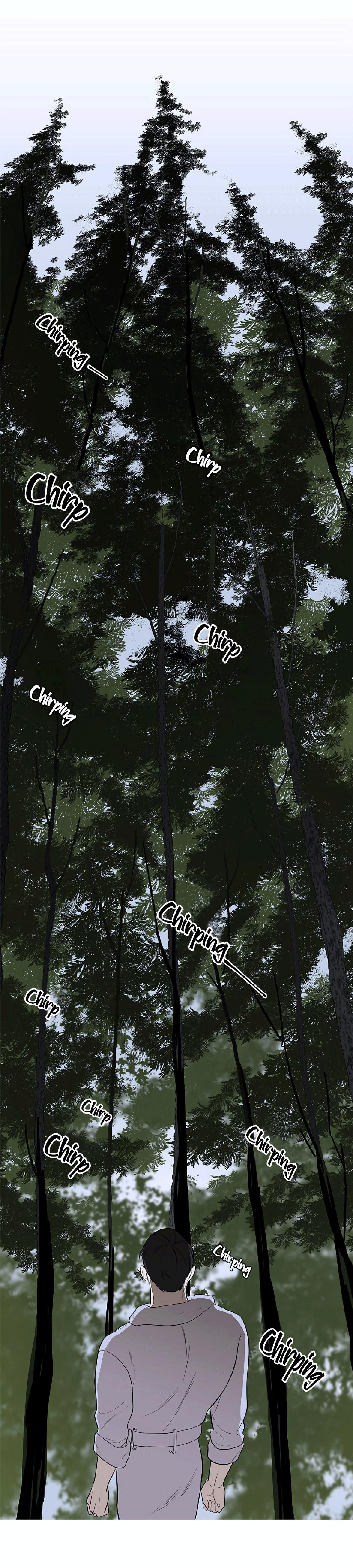 Đọc truyện Đường Chim Bay - Chapter 6