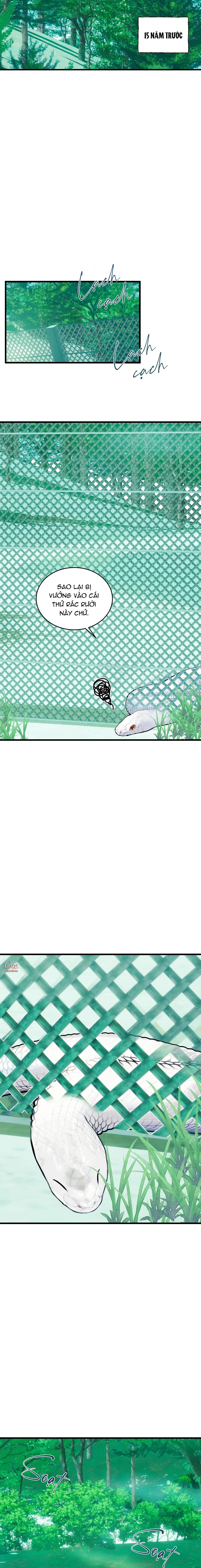 Đọc truyện ÂN NHÂN CỦA RẮN - Chapter 22
