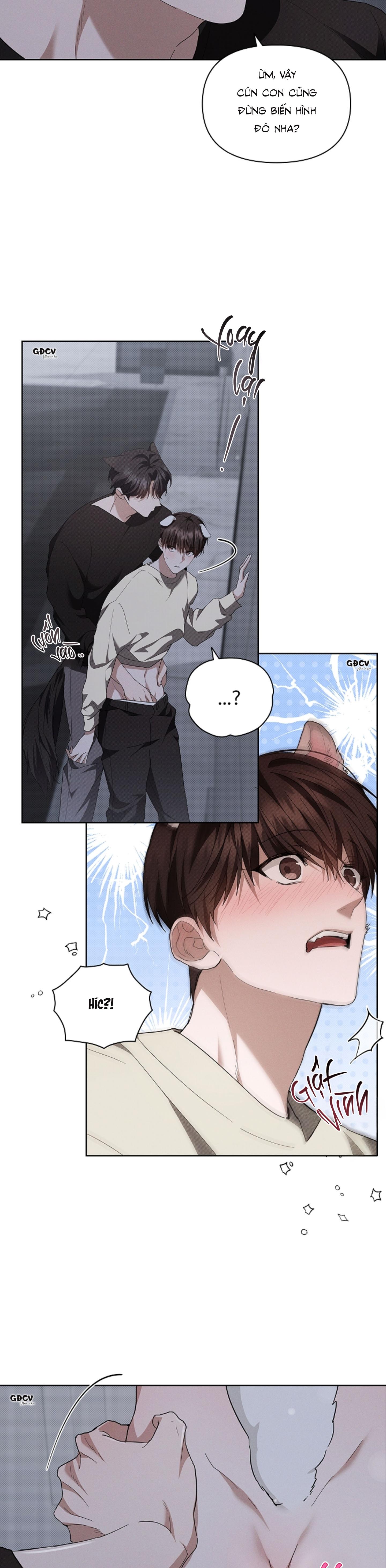 Đọc truyện ĐỪNG CHẠM VÀO CÚN CON CỦA TÔI - Chapter 24