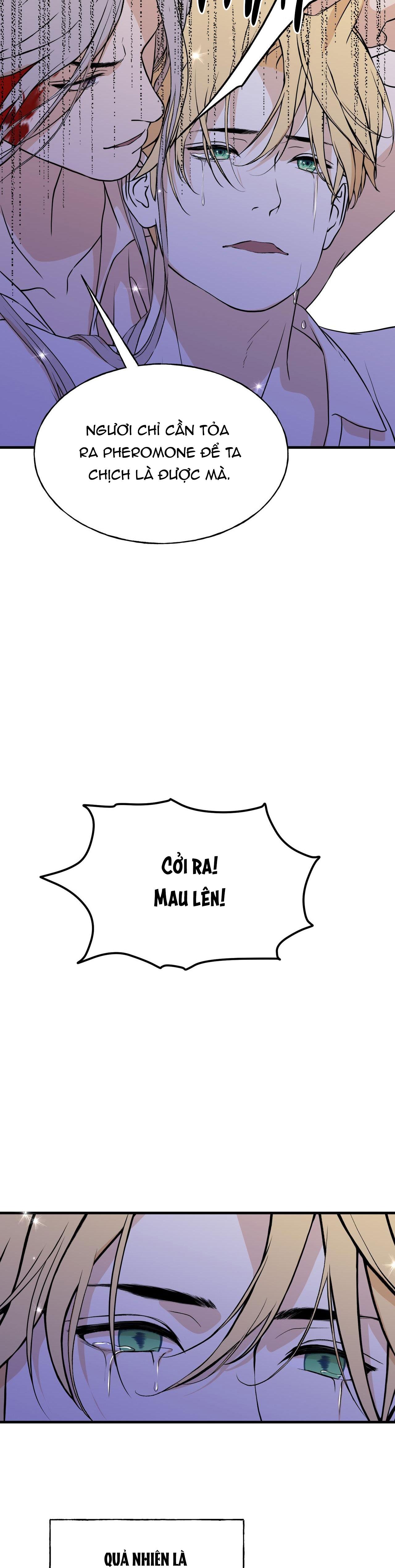 Đọc truyện (ABO) ĐÁM CƯỚI HOÀNG GIA - Chapter 12