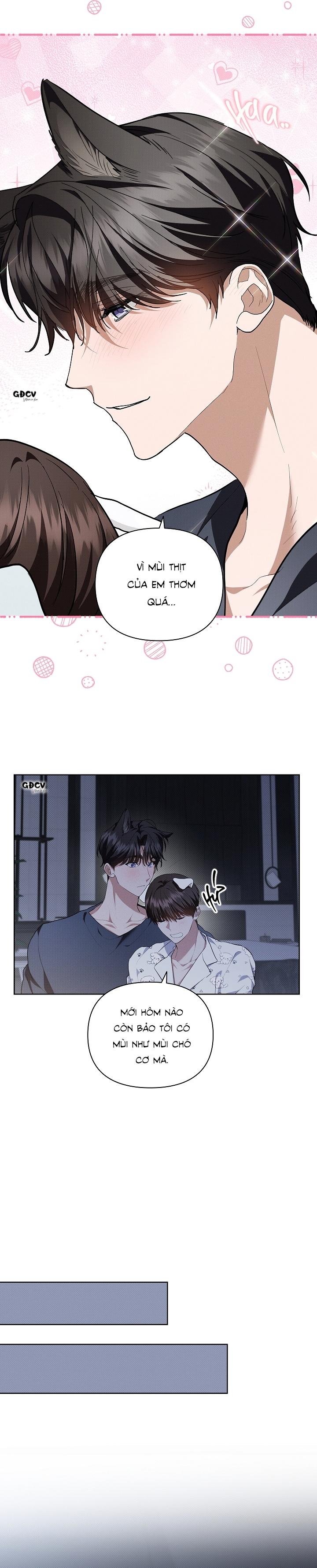 Đọc truyện ĐỪNG CHẠM VÀO CÚN CON CỦA TÔI - Chapter 18