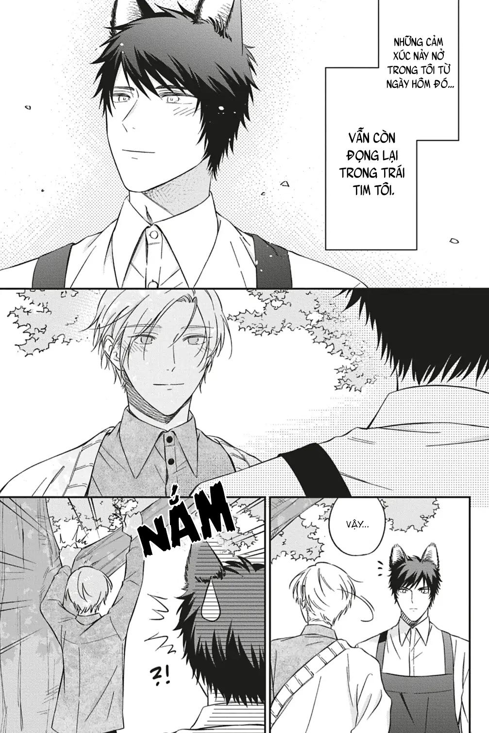 Đọc truyện TÌNH YÊU NƠI ANH - Chapter 2