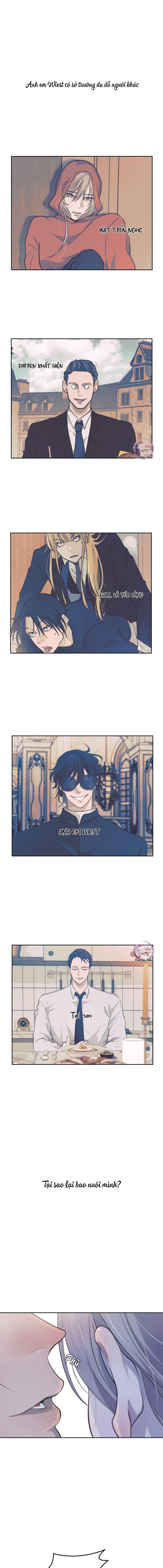 Đọc truyện Bao Nuôi Tiền Bối - Chapter 49