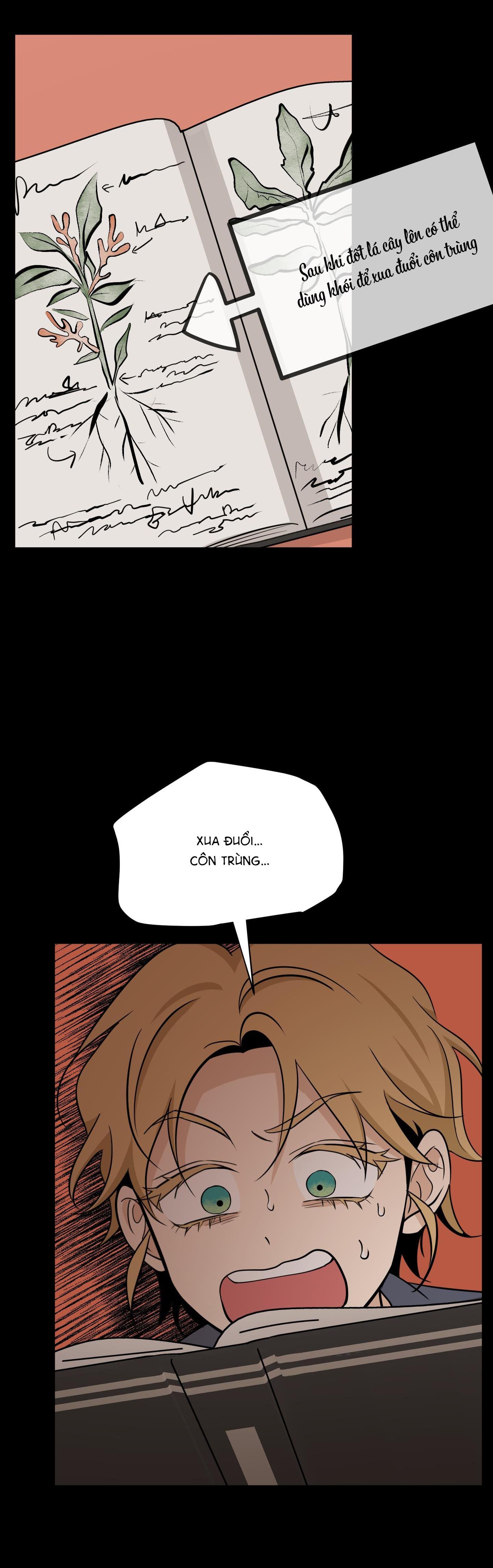 Đọc truyện Hoa Vô Danh - Chapter 2