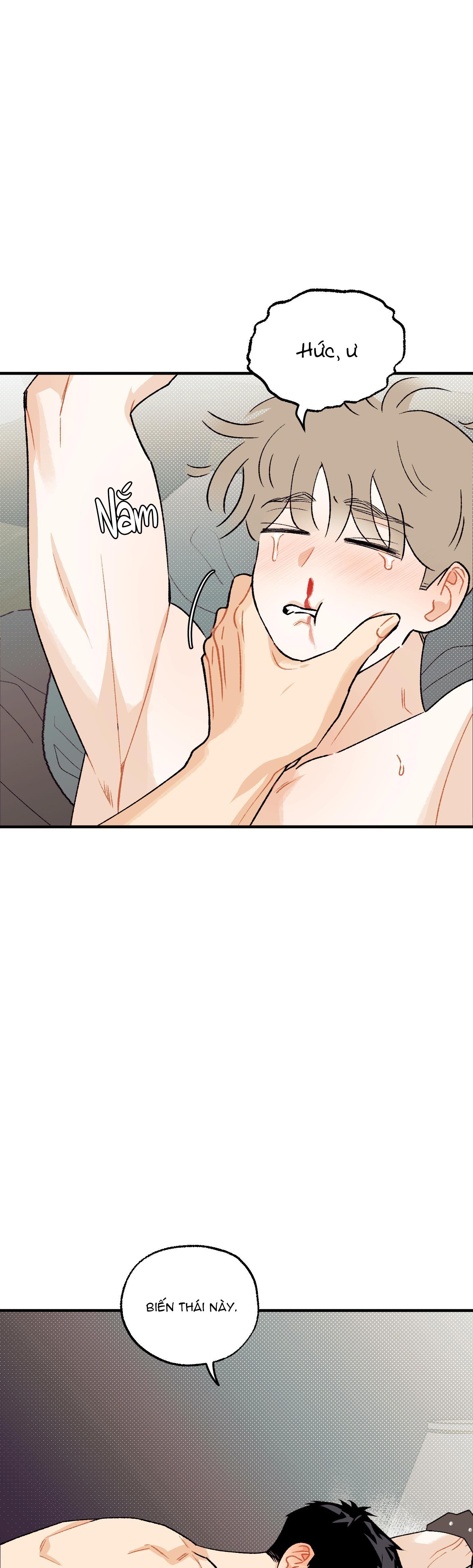 Đọc truyện Tình đơn phương lạc lối - Chapter 10