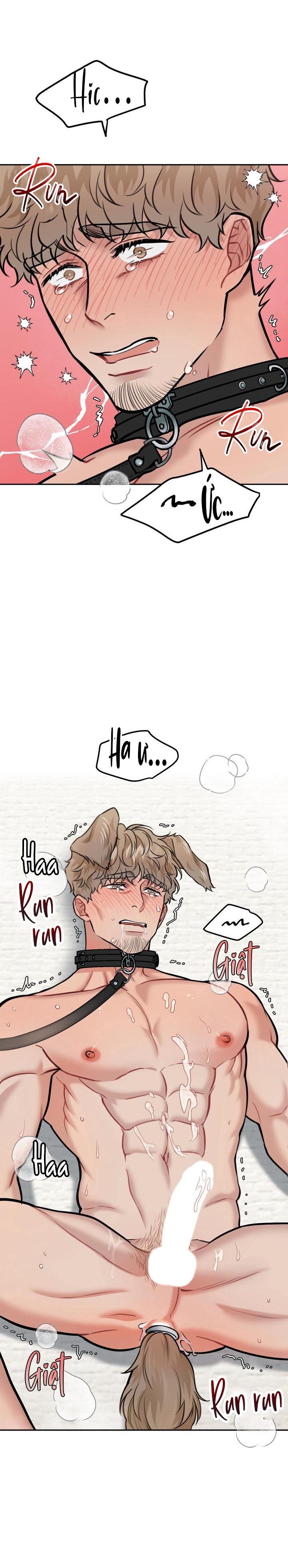 Đọc truyện HƯỚNG DẪN BDSM CƠ BẢN - Chapter 13