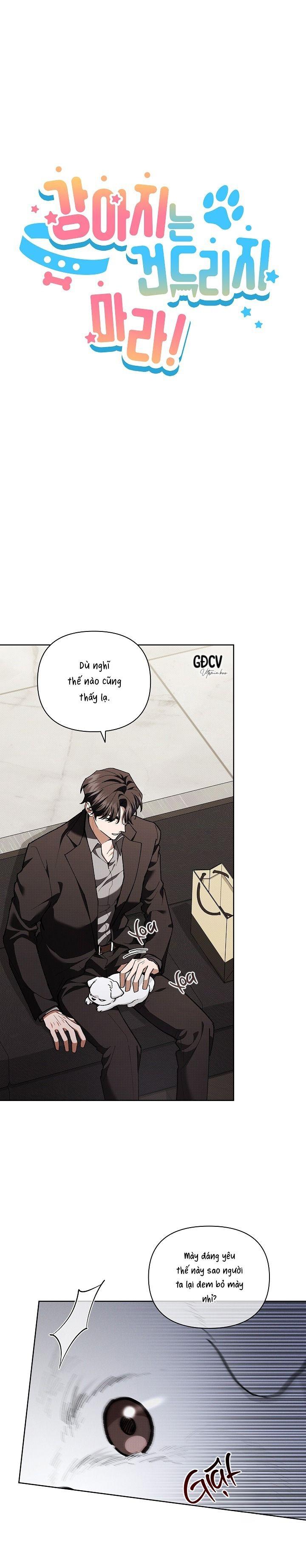 Đọc truyện ĐỪNG CHẠM VÀO CÚN CON CỦA TÔI - Chapter 5